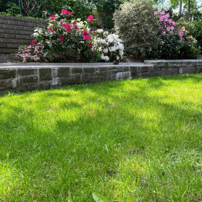 Der Garten Der Garten